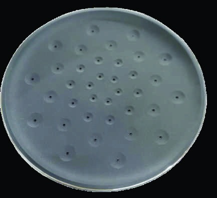 Shower Mist 10"